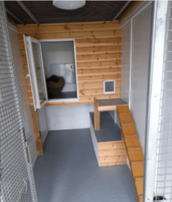 An example of an adequate cattery run featuring multi-level surfaces and a ramp for exercise.